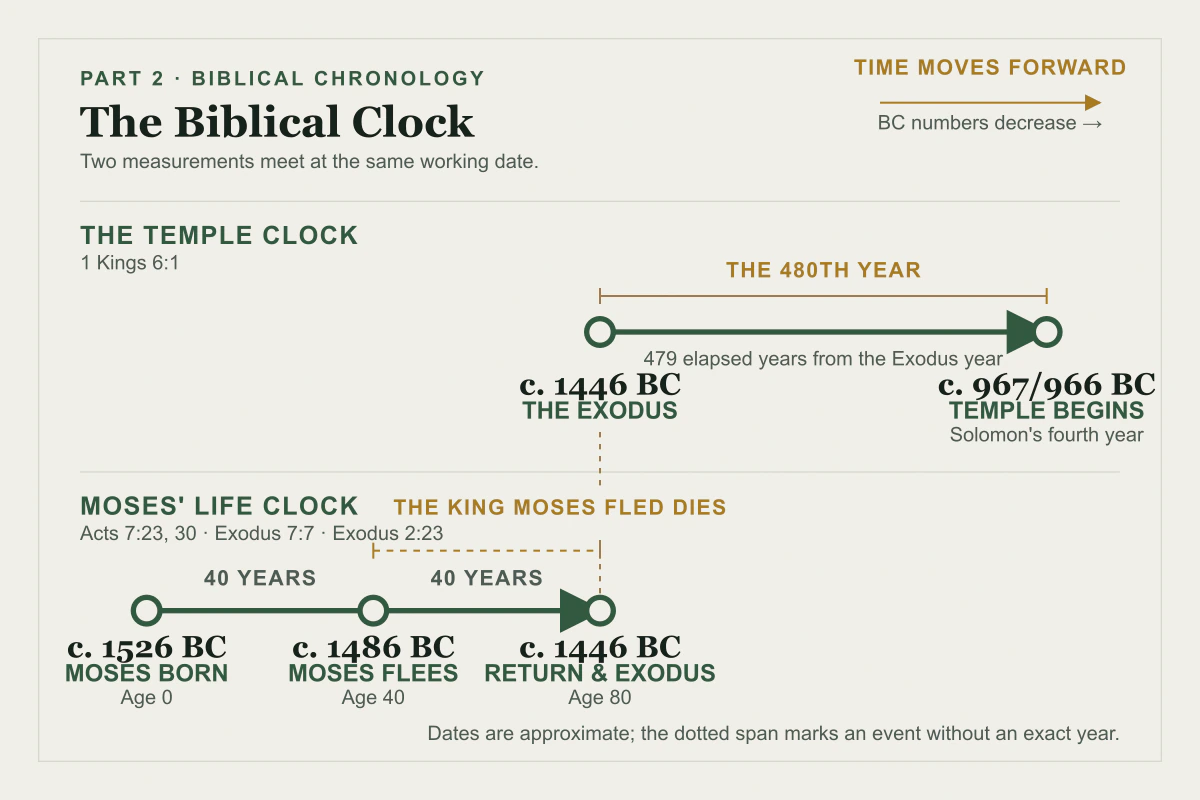 Two connected timelines meet at the Exodus around 1446 BC. The upper lane links the Exodus to Solomon's temple foundation around 967 or 966 BC in the 480th year. The lower lane shows Moses born around 1526 BC, fleeing at age forty around 1486 BC, and returning for the Exodus at age eighty.